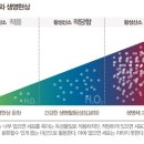 활성산소 이미지