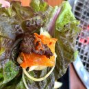 가비조아 이미지