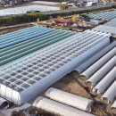 (주)비에스팜 이미지