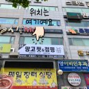 망고핏