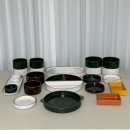 유약국 | 🏠신혼집 l 신혼식기 오덴세 레고트 4인조 21p구매후기 (불량품 불만, 가격비교)