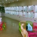 바우스토리 이미지