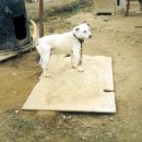 우리들 농장 이미지