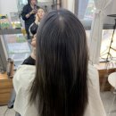애쉬그레이