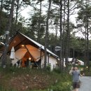 블랙트리하우스 이미지