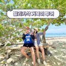 보홀 거북이 투어 돌고래 와칭 발리카삭 버진아일랜드 이솔라섬