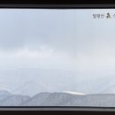 매일카프라자 이미지