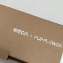 플라워펫 | WECA 플립플라워 4월 2번째 꽃 후기 [펫 프렌들리 꽃]