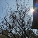 경인세탁소 이미지