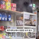 183편의점