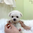 하루산책 이미지