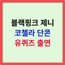 (주)케이피에이글로벌투어 | 제니 코첼라, 프로필, 나이, 키, 국적, 학력, 인스타, 유퀴즈 출연