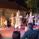 새벽숲농장 이미지