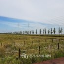 대송축산 이미지
