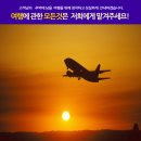 일신관광여행사 이미지