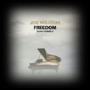 Joe Hisaishi,,,Freedom - Piano Stories 이미지