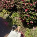 고랑몰랑 이미지