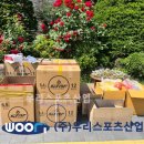 일신여자중학교 이미지