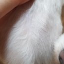 도야동물병원 이미지