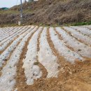 여수바다부동산공인중개사사무소 이미지