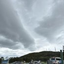 재현축산 | 제주마방목지 2025 제주마 입목 및 문화축제 4월제주도축제 방문후기