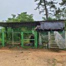 어은돌리솜펜션 이미지