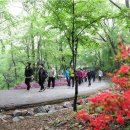 상봉1동 주민자치위원회 이미지