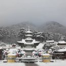 (사)한국대승불교조계종 이미지