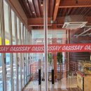 oasissay 이미지