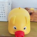 희망돈 농장 이미지