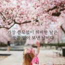 아트메이트 이미지