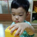 꿈땅어린이집