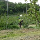 복자농장 이미지