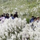 가시리농촌체험휴양마을 이미지