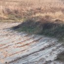 답내1리  마을회관 이미지