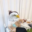 어몽독스 이미지