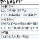 이엔리츠 이미지
