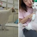 연두농장 이미지