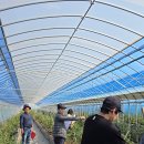 성환농장 이미지