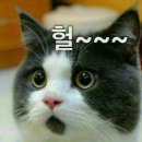 정원마님 소실적에 이미지