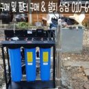 장균농장 네이버블로그