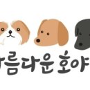 아름다운호야네 이미지