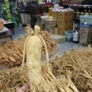 풍기파출소 앞 이미지