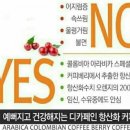 빅푸드 이미지