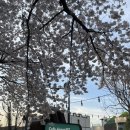 앞산387