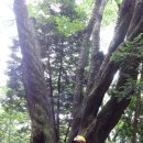 부산어린이대공원 이미지