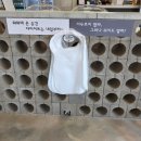 화화돼지왕갈비 충무점 | 보령 고기집 맛집 화화돼지왕갈비 보령점 후기