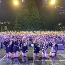 스테이시도
