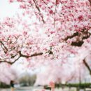 마음한줄 이미지