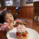 샐러드픽 | 아웃백 스트로베리 타르트 샐러드 에이드 신메뉴 후기 fear. 이지픽 듀얼픽